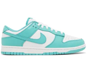 Foot Relax Men's Nike Dunk Low (Clear Jade)