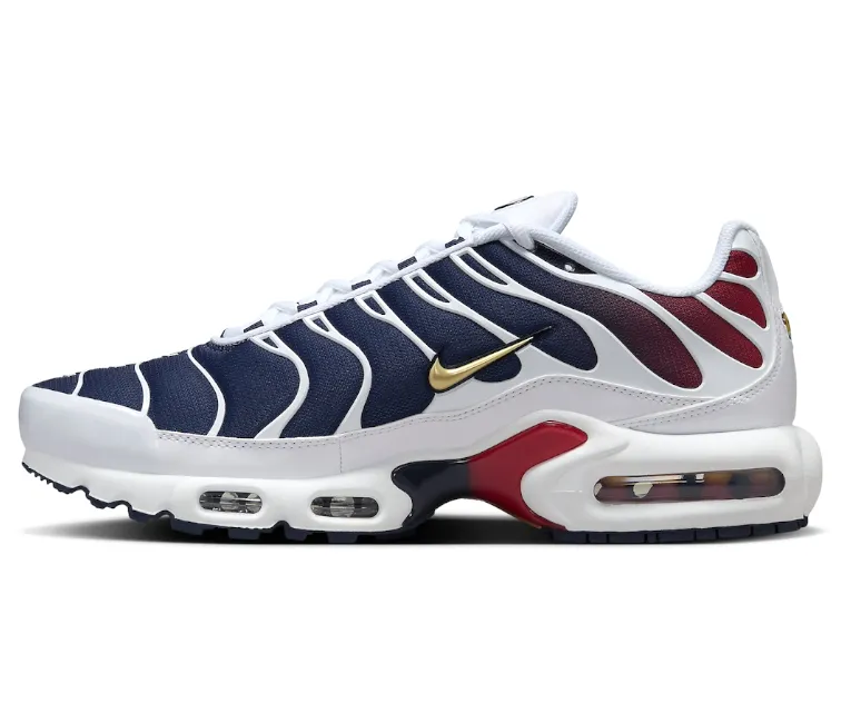 RubberHeel Men's Nike Air Max Plus TN (PSG)