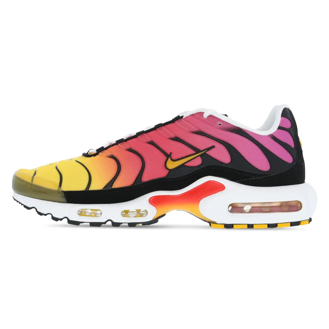 Mens Nike Air Max Plus TN Rainbow Retro Athletic Sneakers