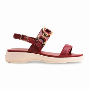 front - zip Stiff Maroon Casual Sandal CL7200
