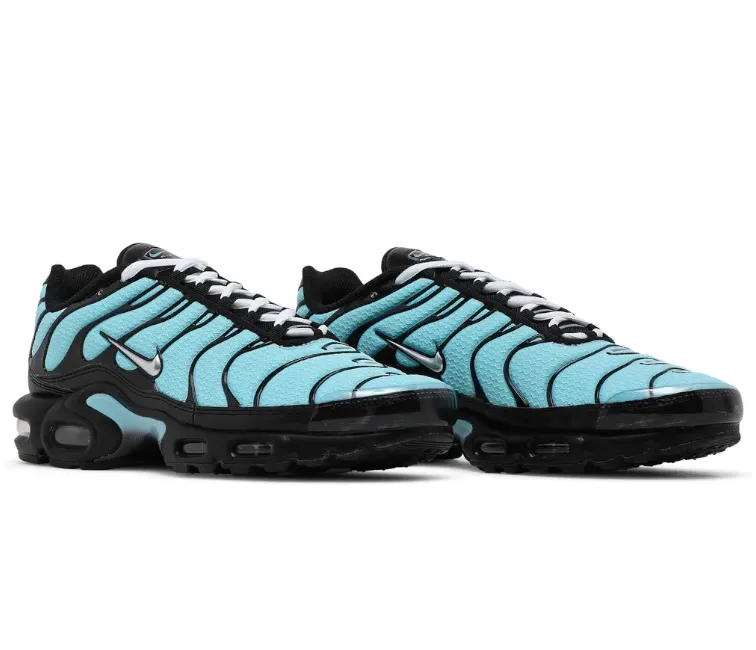 Neutral Stride Men's Nike Air Max Plus TN (Dark Tiffany)