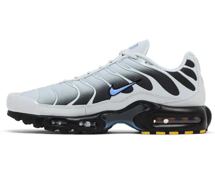 Summer Walks Men's Nike Air Max Plus TN (Glacier Fade)