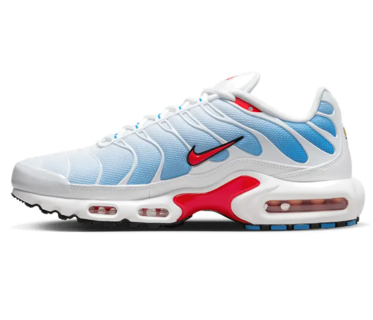 Daily Runs Men's Nike Air Max Plus TN (Tides)
