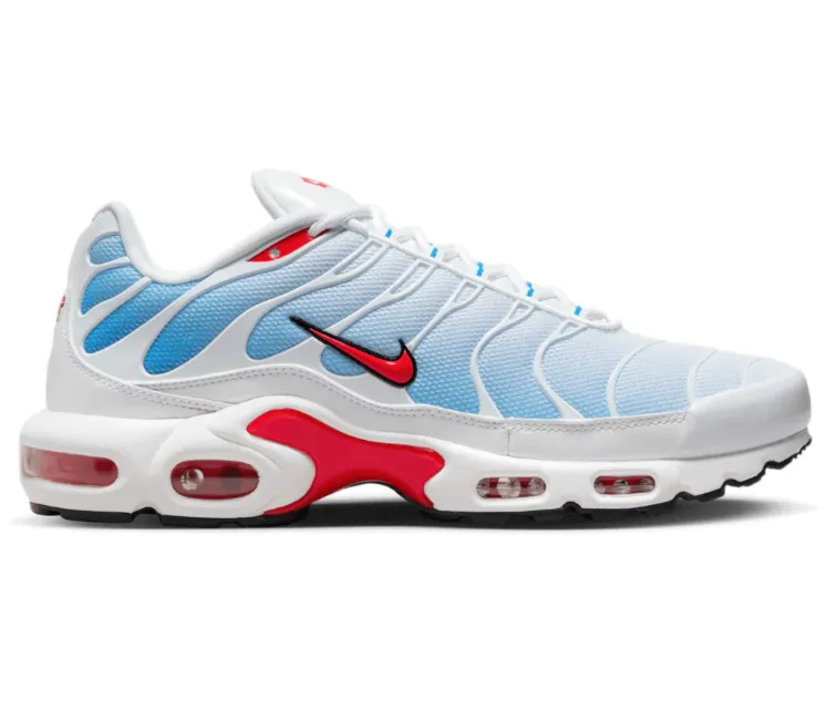 Shock-absorbent Men's Nike Air Max Plus TN (Tides)