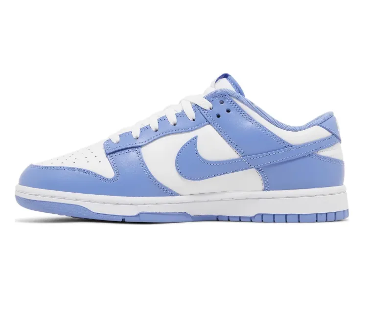 Men's Nike Dunk Low Retro (Polar Blue) Arch Support Construction