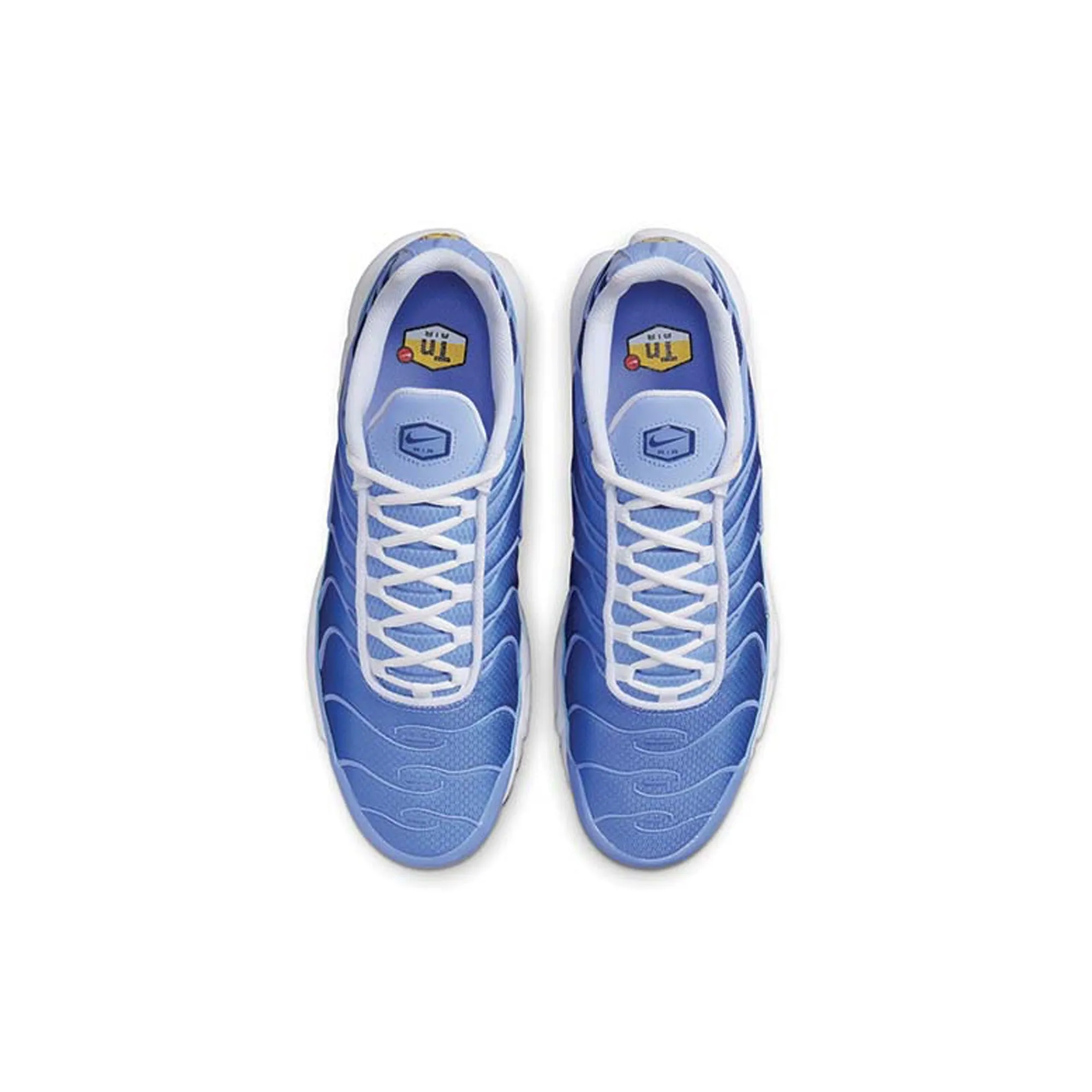 Easy Styling Nike Air Max Plus TN 'Royal Pulse'