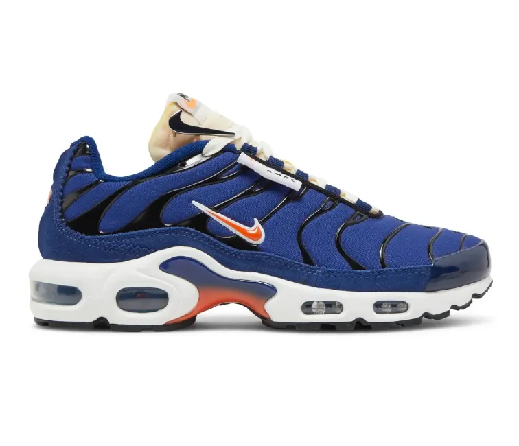 Men's Nike Air Max Plus SE TN (Running Club) Spring Bounce