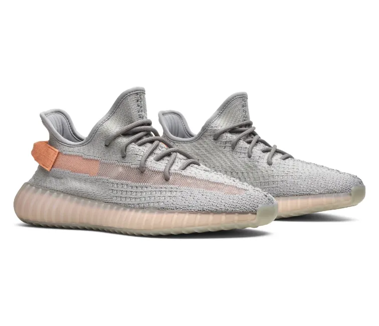 Adidas Yeezy Boost 350 V2 (True Form) Steady walk